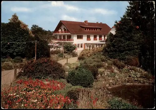 Ansichtskarte Elfenborn-Kalletal Hotel Blumenparadies 1982