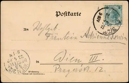 Ansichtskarte Wien Praterpartie - Alter Baum 1902