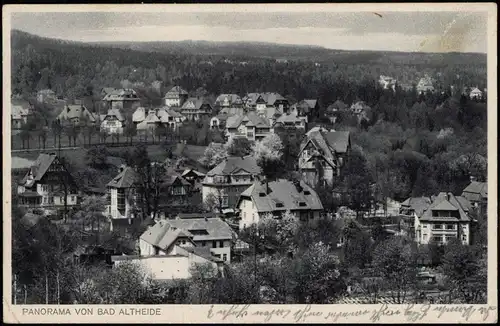 Postcard Bad Altheide Polanica-Zdrój Stadtpartie 1933