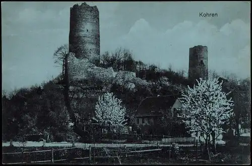 Ansichtskarte Kohren-Sahlis Burgruine Frühlingsblüte 1917