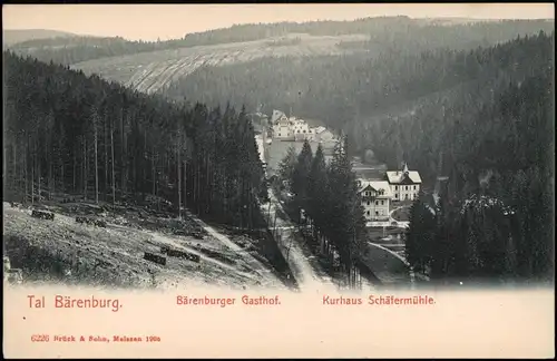 Bärenburg-Altenberg (Erzgebirge) Bärenburger Gasthof. Kurhaus Schäfermühle. 1906