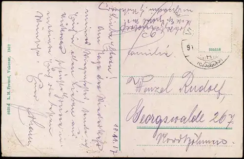 Postcard Vukovar Вуковар Vukovár Franz-Josipa-Ulica 1917