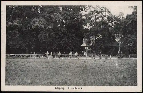 Ansichtskarte Leipzig Hirschpark 1928