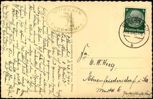 Postcard Eichwald (Erzgebirge) Dubí Hochwildpark Tuppelburg Hirsche 1940