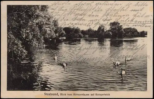 Ansichtskarte Stralsund Blick vom Knieperdamm auf Knieperteich 1916