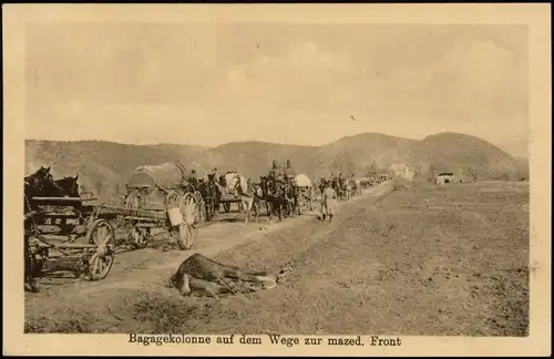 Mazedonien (allgemein) Bagagekolonne auf dem Wege zur Front Militaria WK1 1916