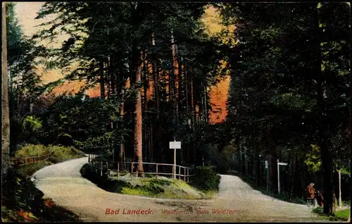 Postcard Bad Landeck Lądek-Zdrój Waldpartie zum Waldtempel 1922