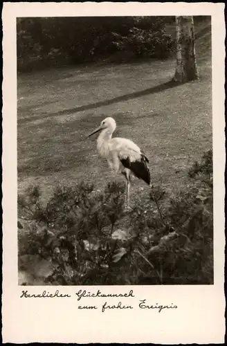 Herzlichen Glückwunsch zum frohen Ereignis (Geburt Glückwunsch Storch) 1940