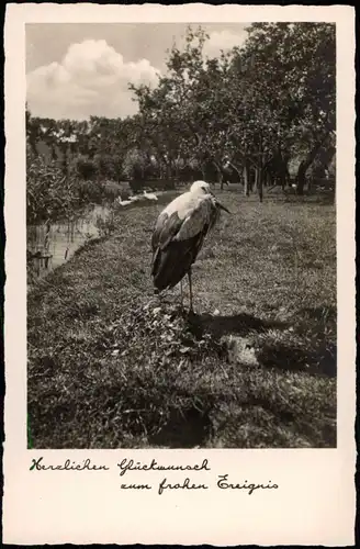 Herzlichen Glückwunsch zum frohen Ereignis (Geburt Storch Motiv) 1940