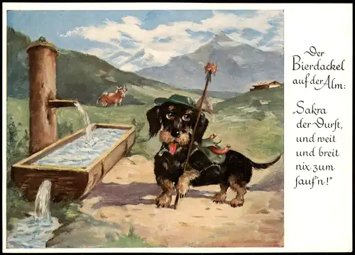 Humor Karte Hund in bayr. Tracht; Der Bierdackel auf der Alm 1950