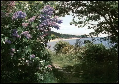 Postcard Bornholm Umlandansicht Forårsstemning 1970