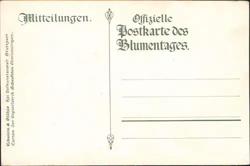 Adel & Persönlichkeiten: Blumentag Hochzeit Württembergisches Königspaar 1911