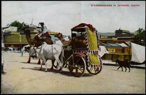.Indien Indien India STRASSENSCENE IN TAYPORE Werbung MEDOL Hamburg 1912