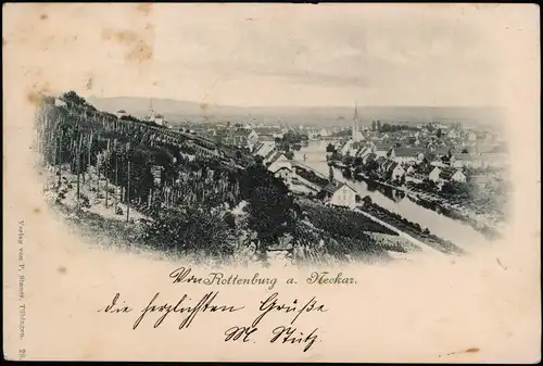 Ansichtskarte Rottenburg am Neckar Blick von den Weinbergen auf die Stadt 1899