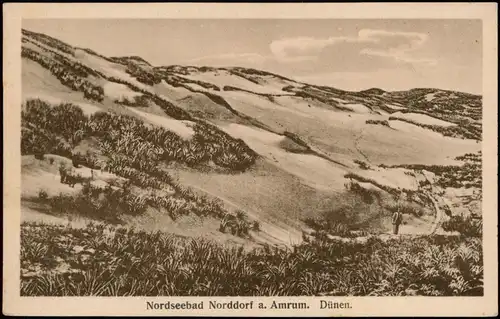 Ansichtskarte Norddorf auf Amrum Noorsaarep | Nordtorp Amrum. Dünen. 1914