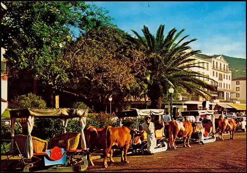 Postcard Funchal Char à boeufs Bullock carro 1975
