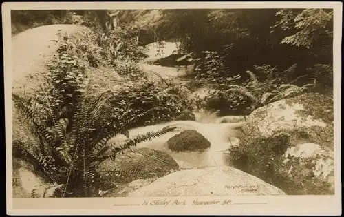 Postcard Vancouver In Stanley Park 1932