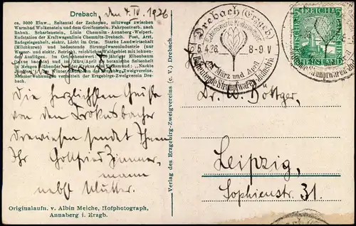 Ansichtskarte Drebach (Erzgebirge) Krokuswiese 1926  gel. Sonderstempel