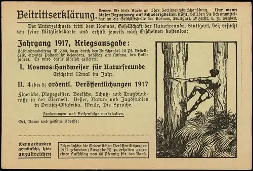 Helgoland (Insel) Werbekarte Kosmos Gesellschaft Naturfreund Stuttgart 1917