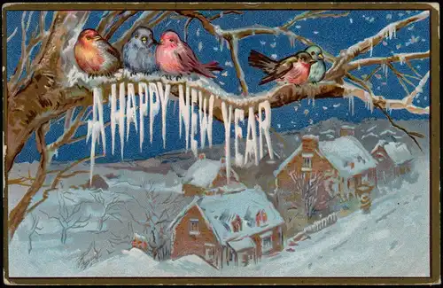 Ansichtskarte  Neujahr Sylvester New Year Vögel Stadt USA - Prägekarte 1906