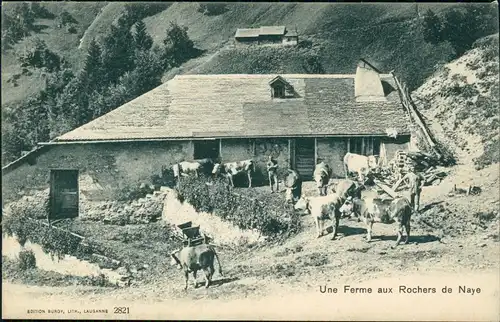 Ansichtskarte .Schweiz Une Ferme aux Rochers de Naye 1910