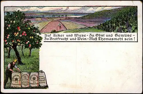 Ansichtskarte  Reklame & Werbung - Thomasmehl Dünger Thomasschlacke 1919