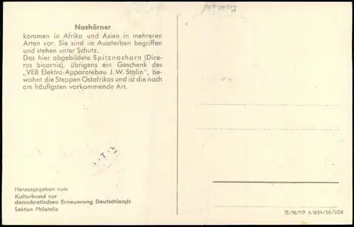 Ansichtskarte  Tiere Nashörner 1956  gel. Sonderstempel u. Marke Zoo Berlin