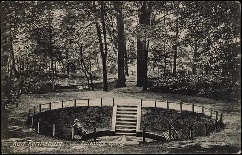 Ansichtskarte Ronneburg (Thüringen) Eulenhöfer Quelle 1908