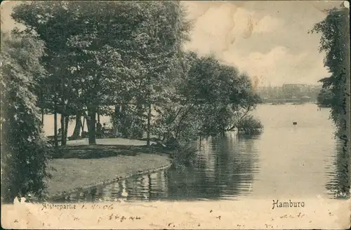 Ansichtskarte Hamburg Alster Partie 1906   gel  WETZLAR (Ankunftsstempel)