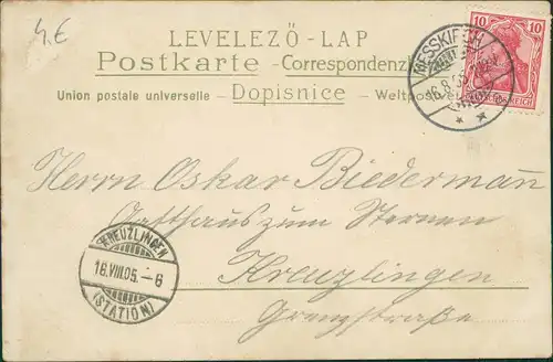 Künstlerkarte Mann in den Bergen 1905     Kreuzlingen (Ankunftsstempel)