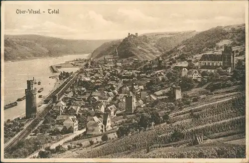 Ansichtskarte Oberwesel Totale, Schlepper - Weinberge 1928