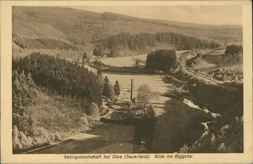 Ansichtskarte Olpe Biggetal, Denkmal 1930  gel. Bahnpoststempel Betzdorf