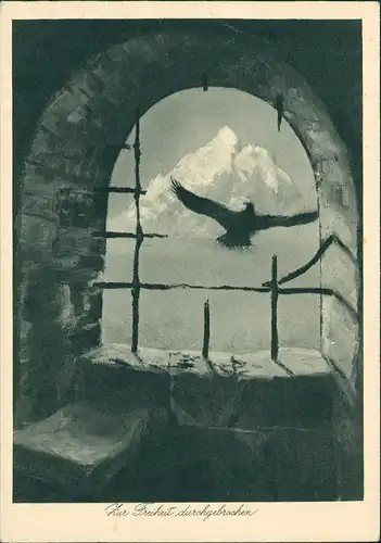Künstlerkarte "Für Freiheit durchgebrochen" Vogel durchfliegt Gitterfenster 1940