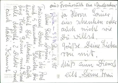 Reichenbach (Oberlausitz) Mylau  Reichenbach - Springbrunnen 1977