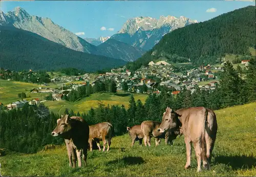 Ansichtskarte Seefeld Panorama-Ansicht, Alm-Motiv gegen Karwendelspitze 1981