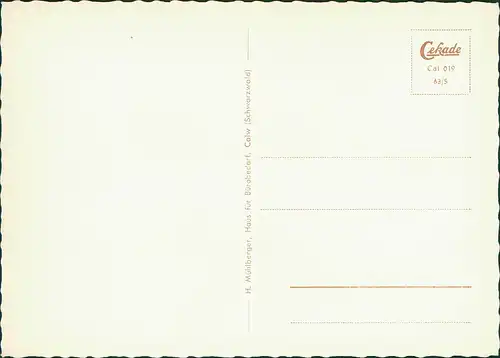 Ansichtskarte Calw Mehrbildkarte mit Stadtteilansichten 1963