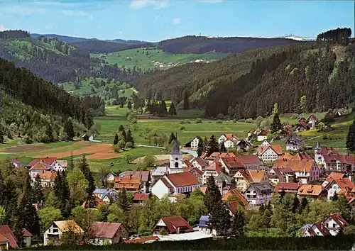 Lenzkirch Panorama-Ansicht Blick zum Feldberg 1493 m ü. M. 1990