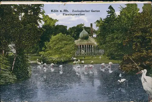 Nippes-Köln Zoo Tierpark Zoologischer Garten Flamingoweiher 1920