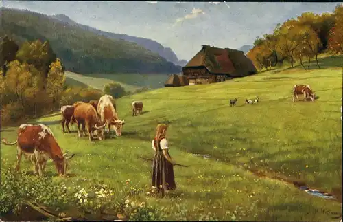 .Baden-Württemberg Schwarzwald (Mittelgebirge) Weidende Herde 1920