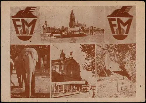 Ansichtskarte Frankfurt am Main Messegelände Messe 1948 mit Messe-Sonderstempel