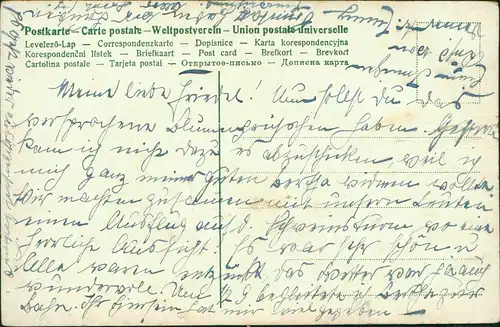 Blumen  Blümelein, Vergissnichtmein, Und denk an mich 1920 Prägekarte