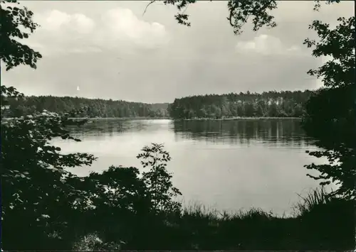 Ansichtskarte Ochsensaal-Dahlen Dammühlenteich zur DDR-Zeit 1969