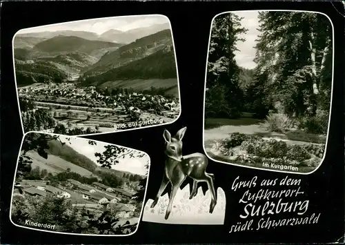 Sulzburg Mehrbildkarte mit Umlandansichten, Schwarzwald, Reh 1966