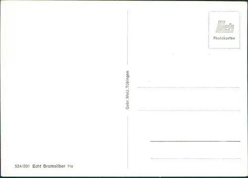 .Baden-Württemberg Schwarzwald Nagold Fluss von Pforzheim bis Nagold 1960