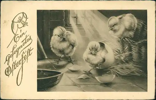 Ansichtskarte  Glückwunsch Ostern / Easter - geschlüpfte Küken 1937