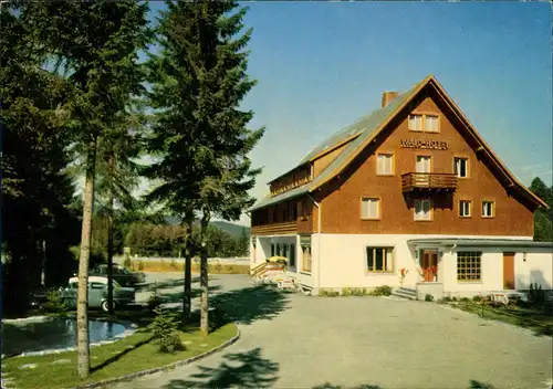 .Baden-Württemberg Feldberg-Bärental-Waldhotel Andris im Hochschwarzwald 1960