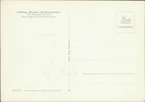 .Baden-Württemberg Feldberg-Bärental-Waldhotel Andris im Hochschwarzwald 1960