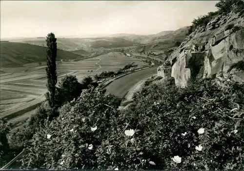 Odernheim am Glan Panorama-Ansicht Hindenburgblick ins Nahetal 1960