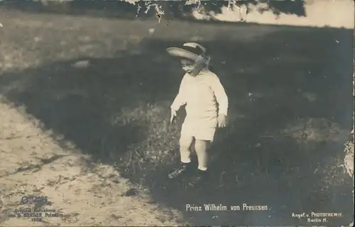 Adel Persönlichkeiten - Prinzen Prinzessinen Prinz Wilhelm von Preussen. 1910