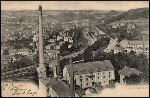 Ansichtskarte Roßwein Panorama-Ansicht Blick v. d. Wettinhöhe, Fabrik 1906
